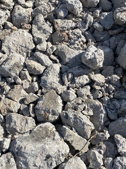 Жемтик Кызылорда