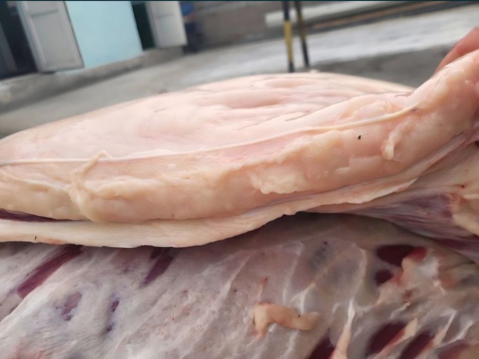 Согым жілік 2750тг кун сайын