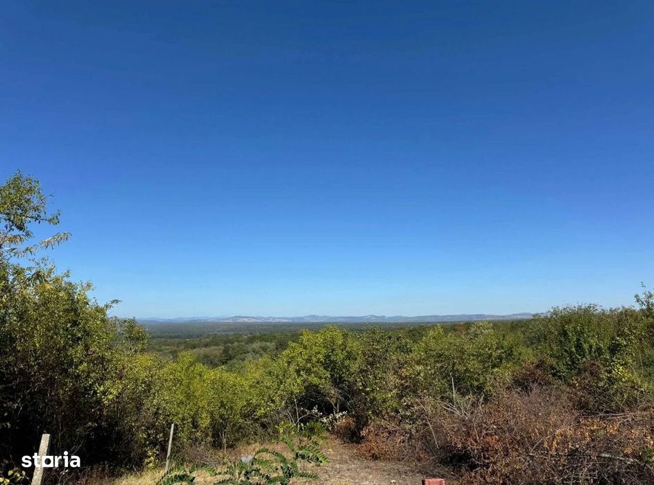 Teren 4.280 mp, Valea Călugărească, zona Vârfuri, Drumul Vinului