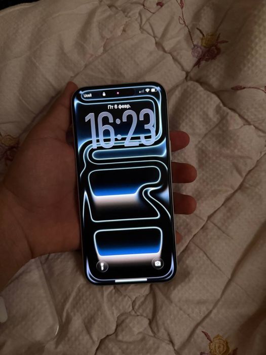 17 max 256 gb silver