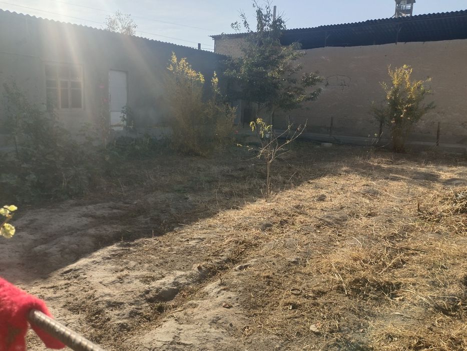 Участка сотилада срочно