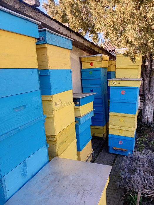 Многокорпусни кошери