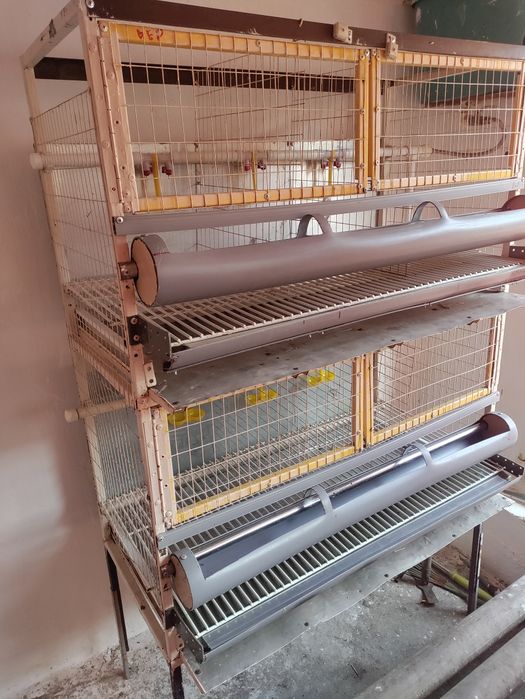 Клетки (двухяруснные) для кур или перепелок .