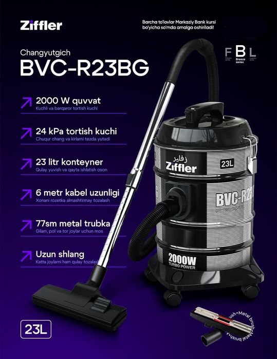 Zifflerdan plesos dastavkasi ichida