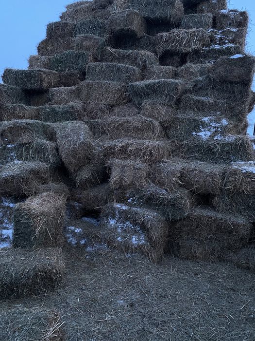 Сенооо тюковоййй