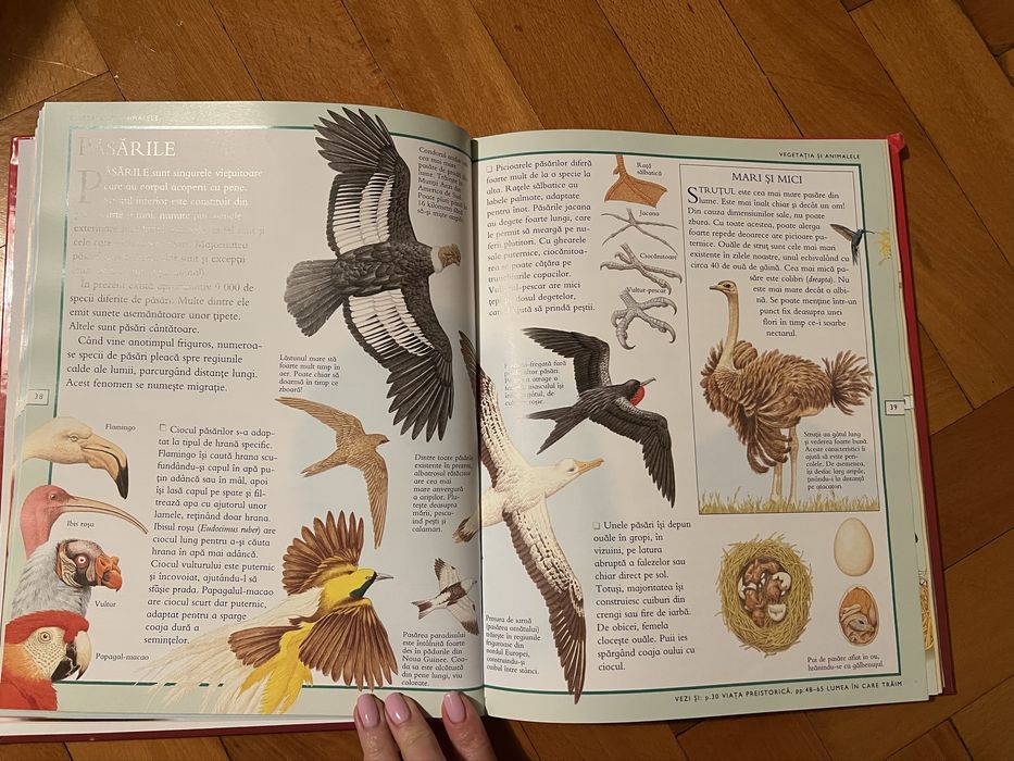 Enciclopedia Stiintelor pentru copii