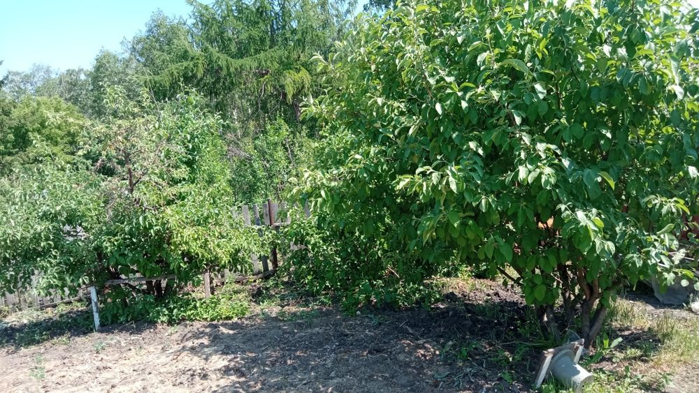 Продам дачу, реальному покупателю торг