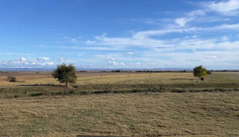 Teren agricol/arabil 23 ha, comasat, extravilan, Butin, Timis