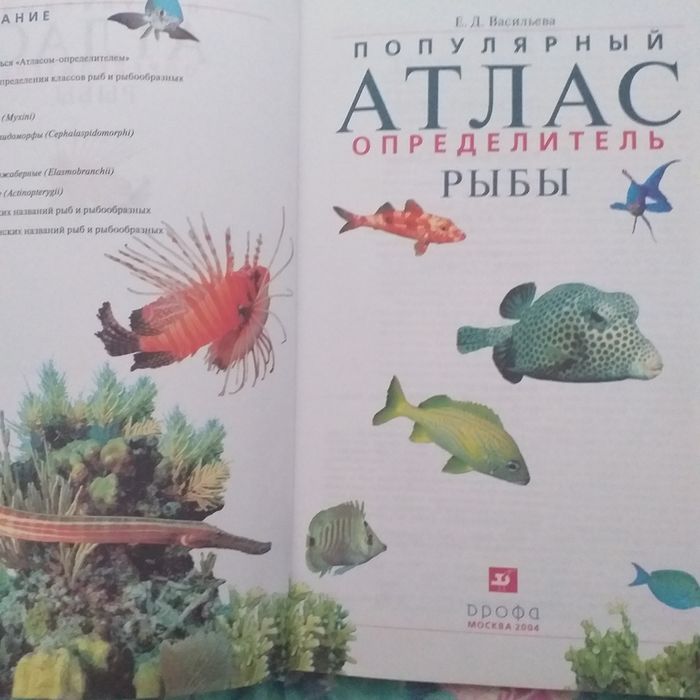 Атлас энциклопедия о рыбах