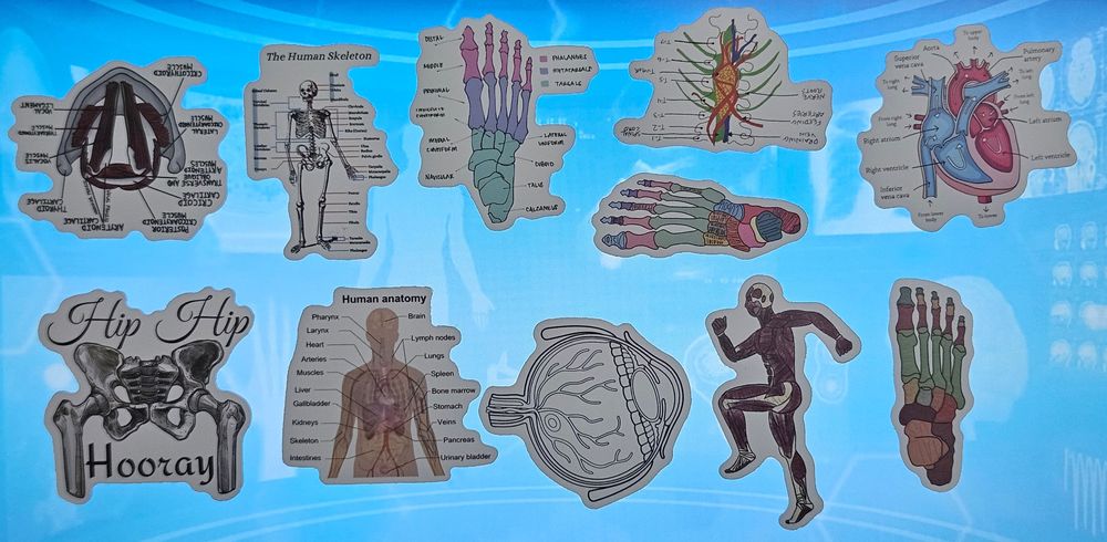 Стикери анатомия/котки/кафе/държави