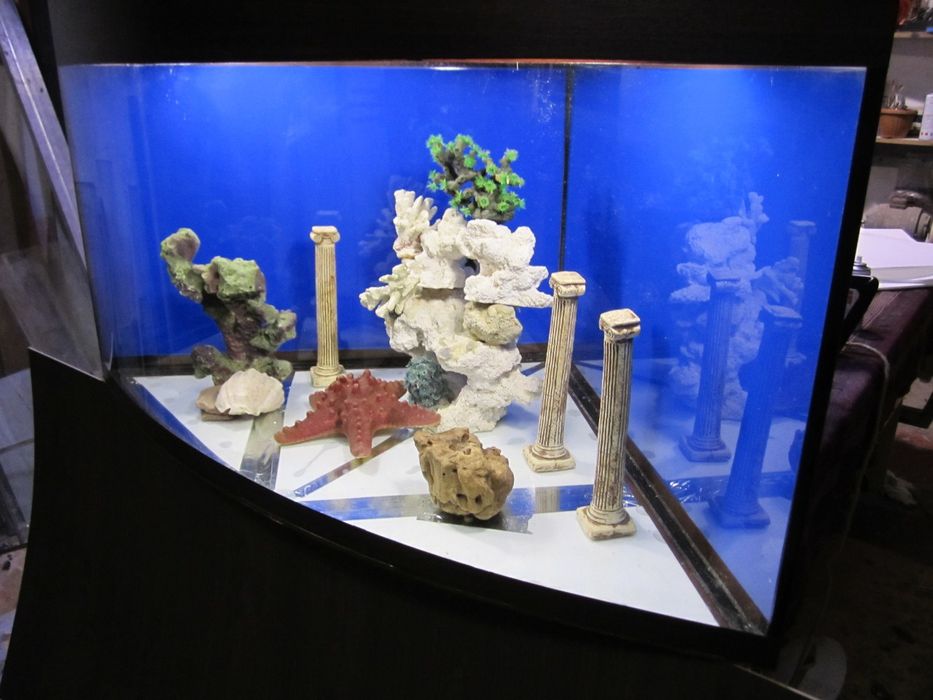 Аквариумы на заказ