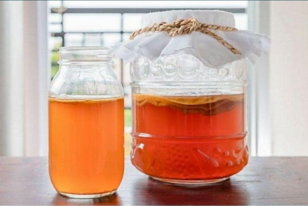 Чайный гриб, комбуча