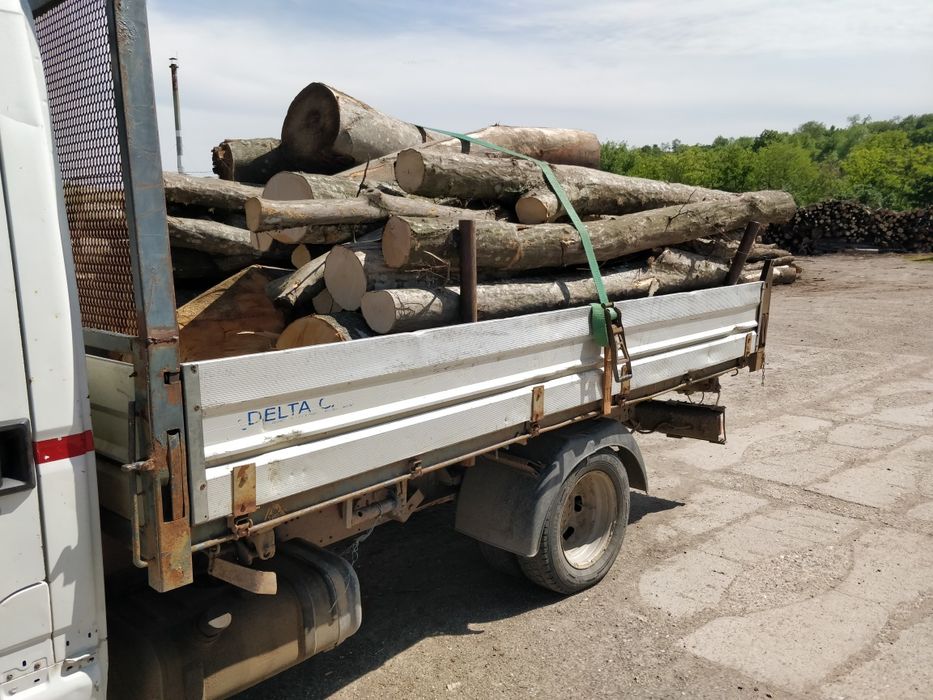 Lemn foc - bustean - USCAT sau VERDE