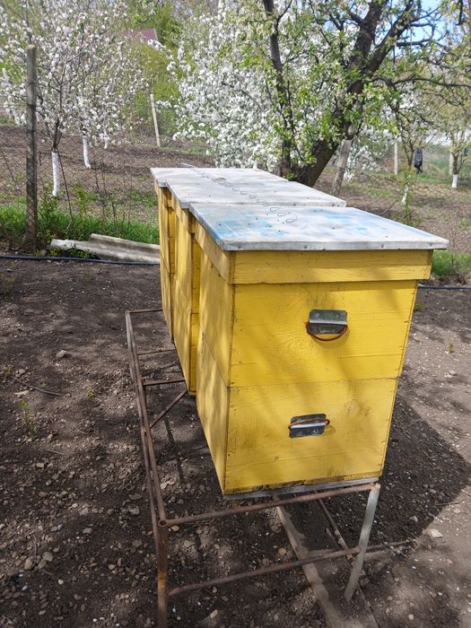 Lada albine 12 rame jos 12 rame sus