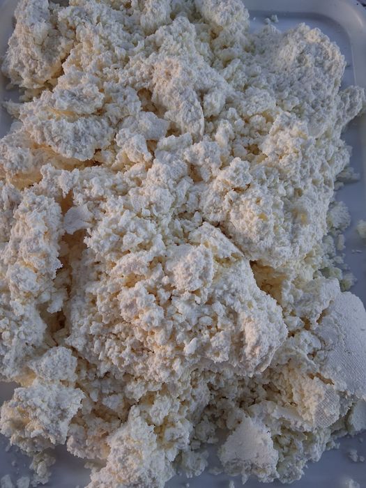 Vând brânză de vacă și cașcaval