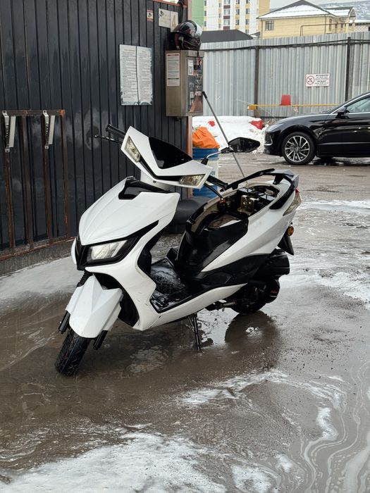 Продам мопед м8