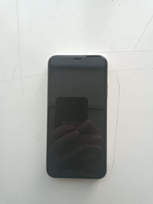 iPhone X 256 GB 100%