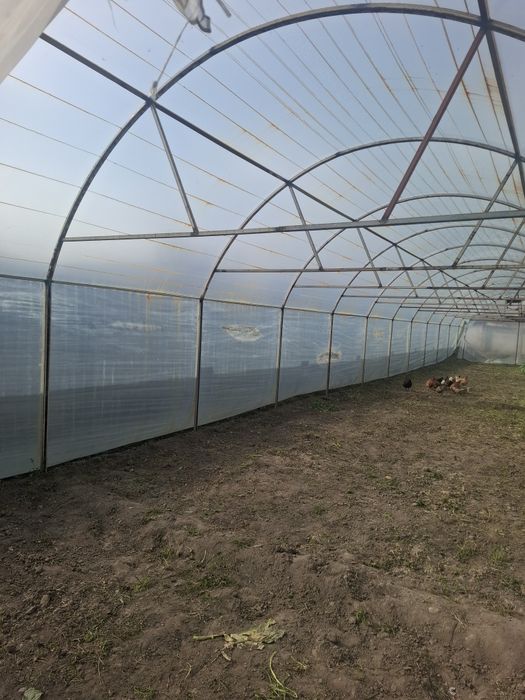 Теплица сотилади иссикхона