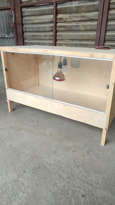 Tabiatda mast jinsiy aloqa