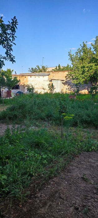 Дача в с/о Оазис г. Зарафшан