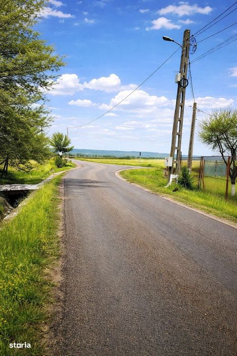 Teren intravilan 990 mp – Curteni, toate utilitatile