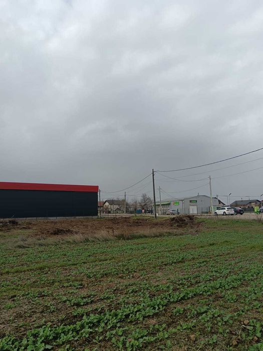 Vand teren 15000 mp, comuna Suseni,  judetul Arges.