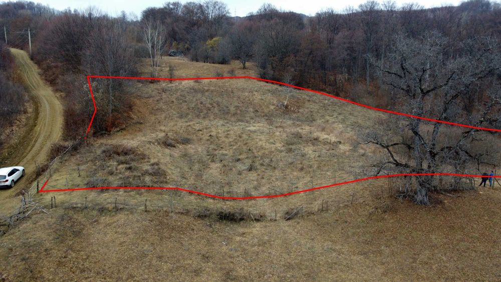 Teren de vânzare în comuna Brăduleț, sat Bradetu ( 7093 mp ) Jud Arges