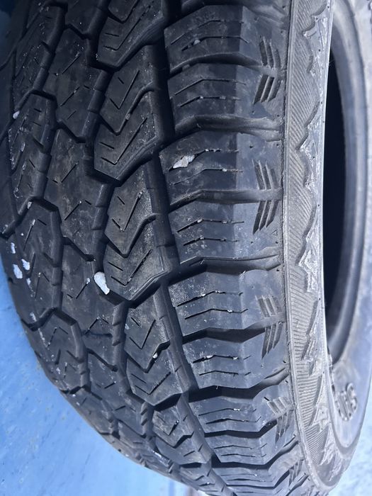 Продам Баллоны Всесезонка!