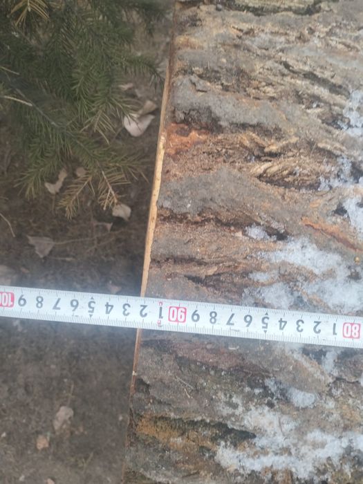 Чурка под мясо карагач