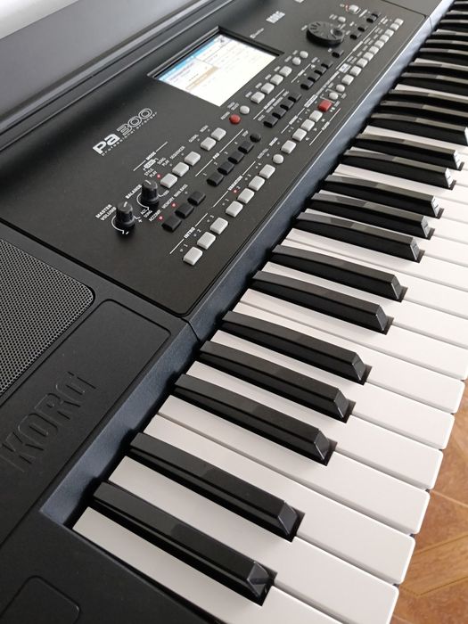 Vând Korg pa 300