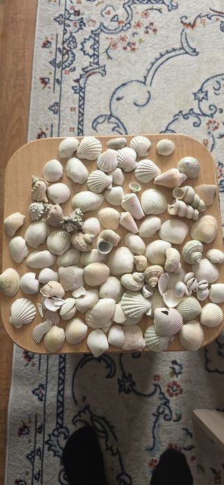 Украшения для аквариумов