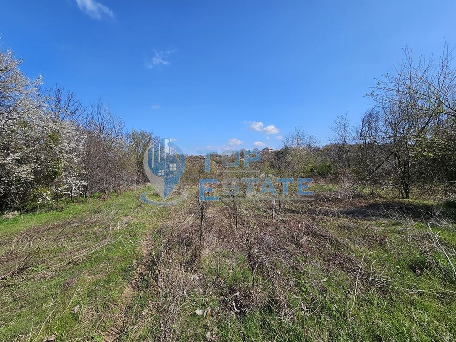 Голям парцел в регулация в южната част на село Хотница