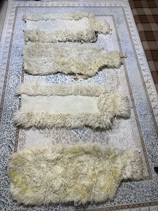 Чехлы натуральная овчина