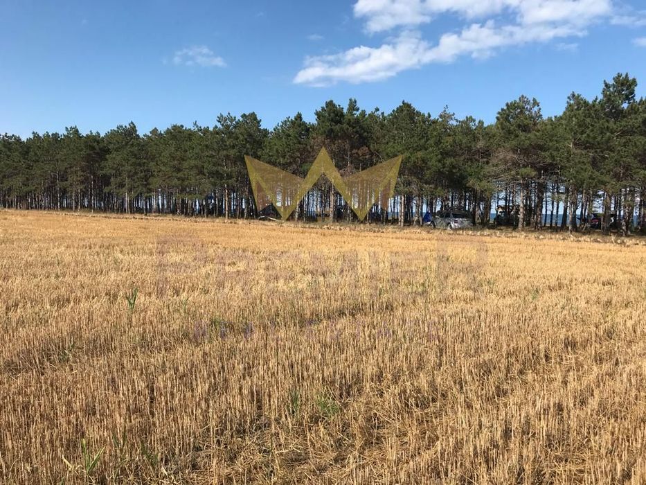 Продава се Парцел в с. Крапец, Област Добрич - 36455 кв.м за 53 €/кв.м - Снимка #2