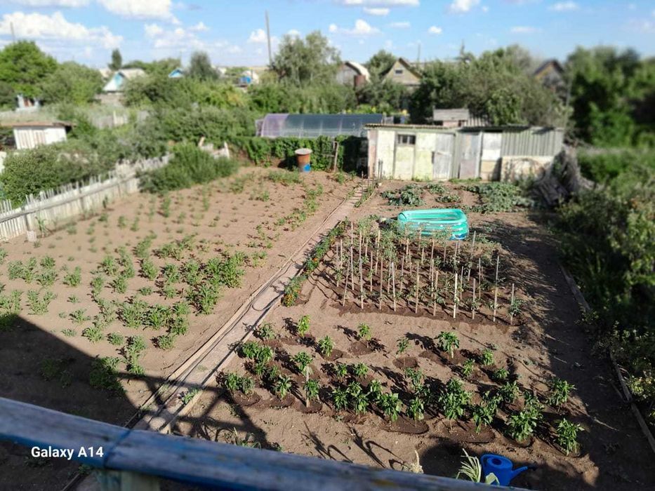 Срочно продам дачу