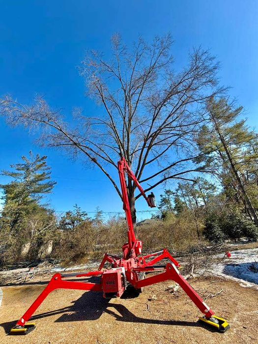 Рязане на Опасни и Високи Дървета в Цялата Страна