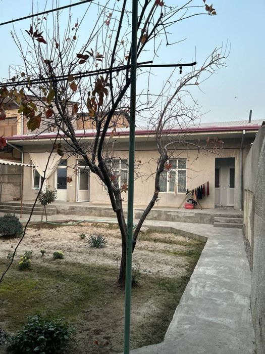 N6216 Uchtepa tumani Kokcha Oqtepa mahalla 3,6 sotix