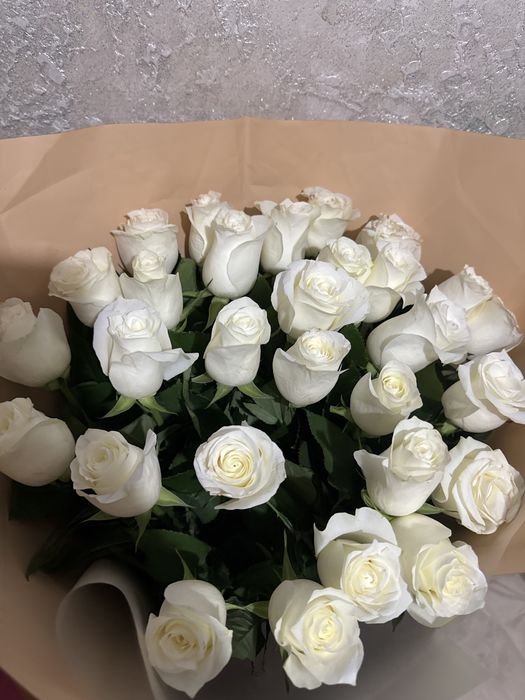 Роза белый свежие цветы