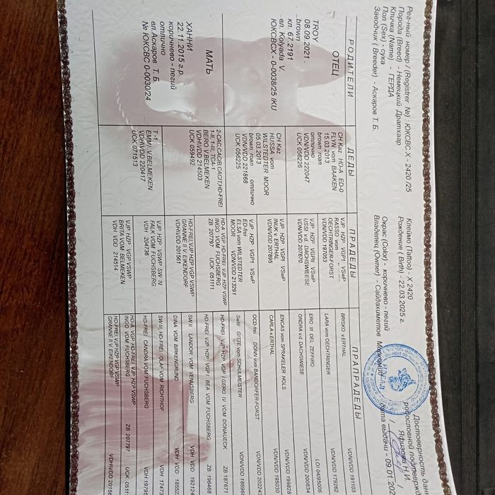 Дратхаар сатылады