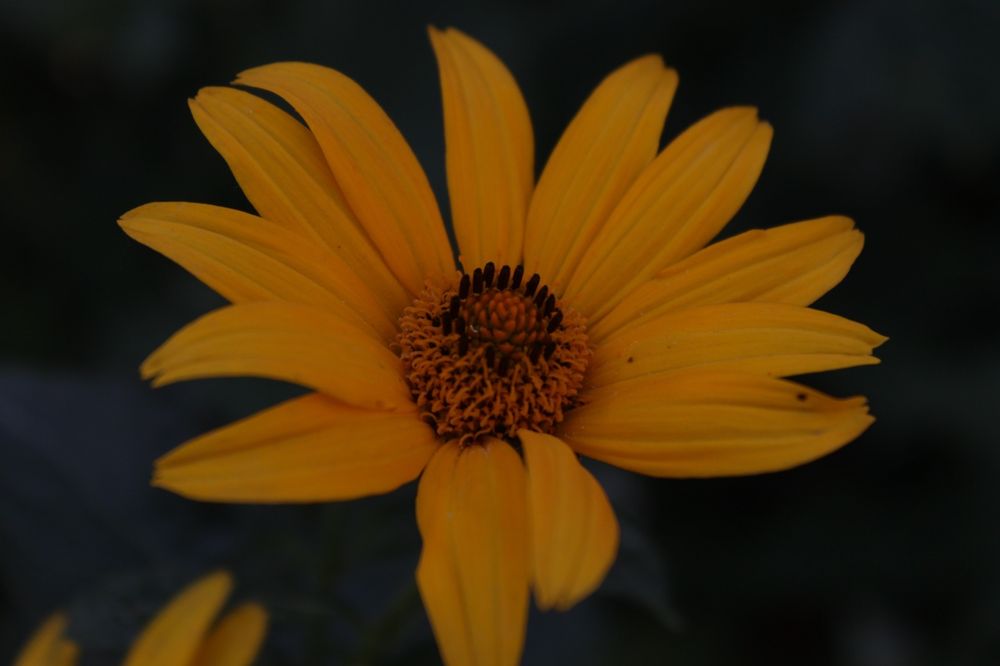 Фотокамера Сanon EOS 600D Kit 18-55 II