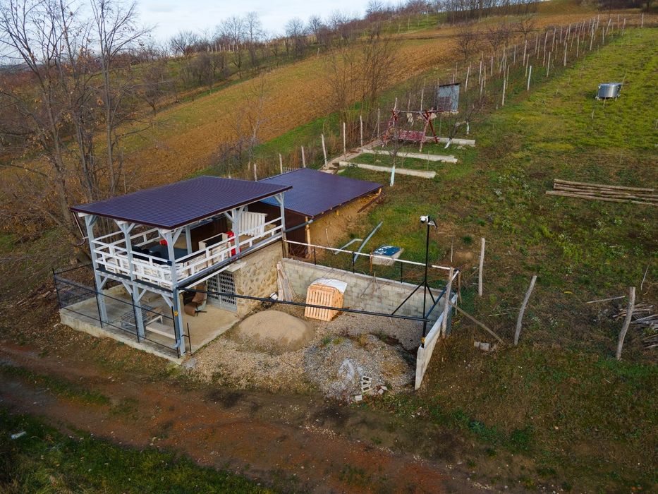 Teren intravilan de vânzare în Viisoara, județul Bihor- zonă liniștită