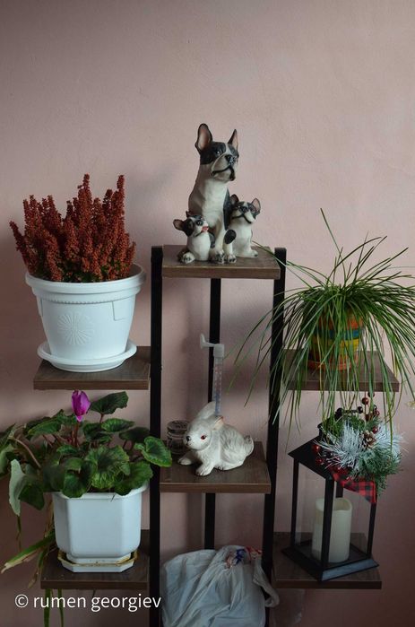 Nikon D5100 + 3 обектива и аксесоари ПРОМО