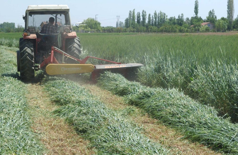 Сенокосилка роторная