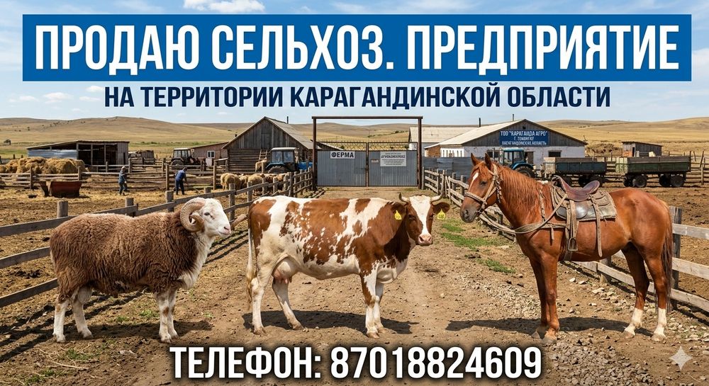 Продам крупное сельхоз предприятие.