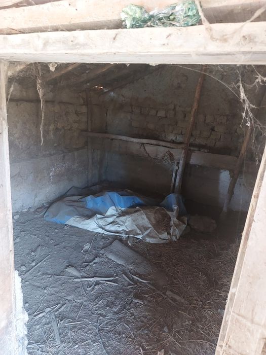 Парцел с овощна градина