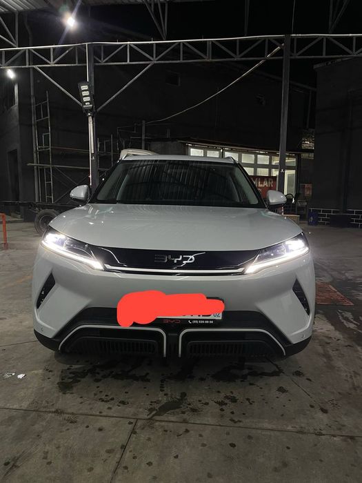 byd yuan up 2025