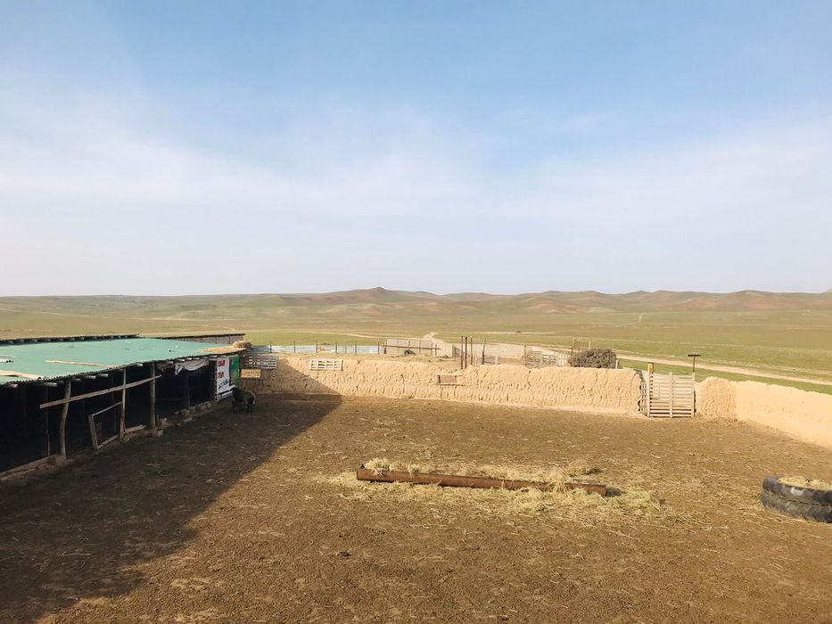 Кора сатылады жайылымдық жерімен