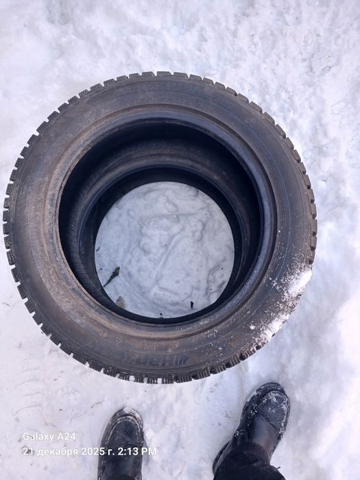 Продам ризину зимние шипы