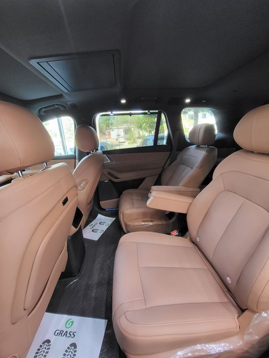 Denza N8L premium 2025