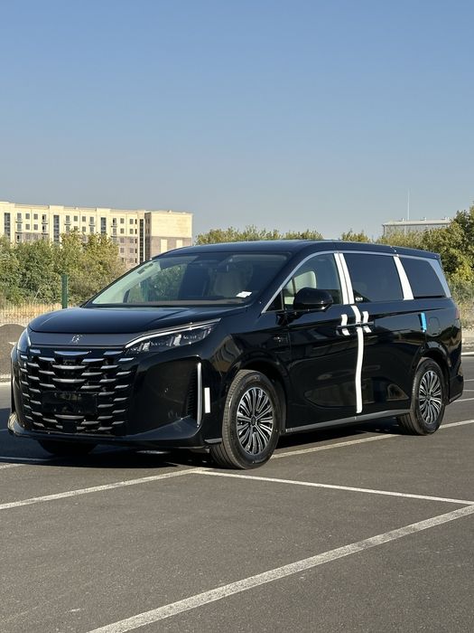 BYD Xia минивэн под заказ от Terra Auto